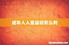 成年人入室盗窃怎么判