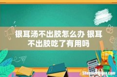 银耳汤不出胶怎么办 银耳不出胶吃了有用吗