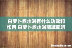 白萝卜煮水喝有什么功效和作用 白萝卜煮水喝能减肥吗