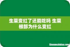 生菜变红了还能吃吗 生菜根部为什么变红