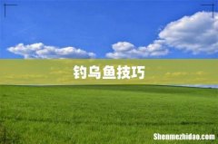 钓乌鱼技巧