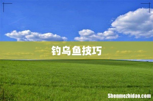 钓乌鱼技巧