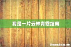 我是一片云林青霞结局