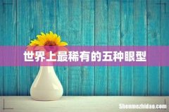 世界上最稀有的五种眼型