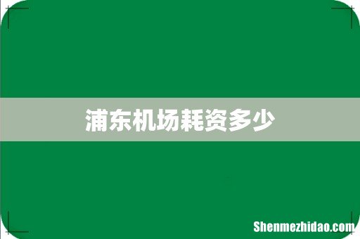 浦东机场耗资多少