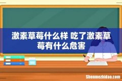 激素草莓什么样 吃了激素草莓有什么危害