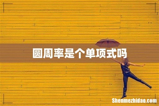 圆周率是个单项式吗