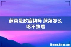 蕨菜是致癌物吗 蕨菜怎么吃不致癌