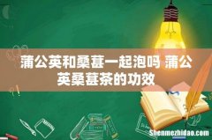 蒲公英和桑葚一起泡吗 蒲公英桑葚茶的功效