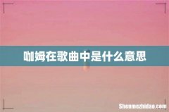 咖姆在歌曲中是什么意思