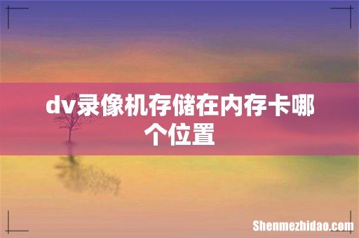 dv录像机存储在内存卡哪个位置