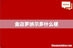 金边罗纳尔多什么梗