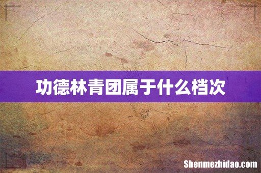 功德林青团属于什么档次