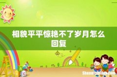 相貌平平惊艳不了岁月怎么回复