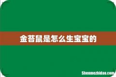 金苔鼠是怎么生宝宝的