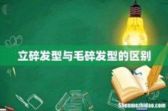 立碎发型与毛碎发型的区别