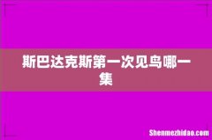 斯巴达克斯第一次见鸟哪一集