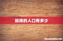 蚌埠的人口有多少