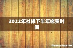 2022年社保下半年缴费时间
