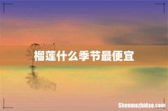 榴莲什么季节最便宜