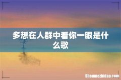 多想在人群中看你一眼是什么歌