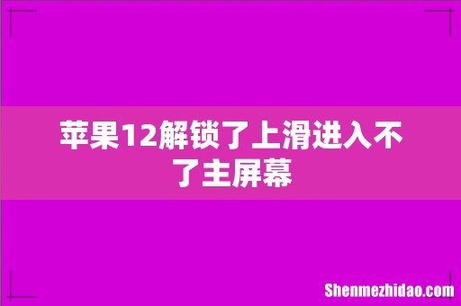 苹果12解锁了上滑进入不了主屏幕