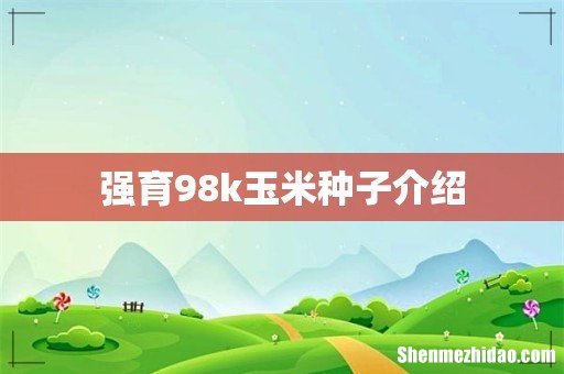 强育98k玉米种子介绍