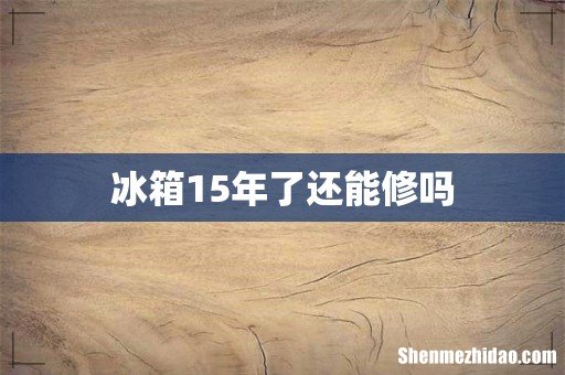 冰箱15年了还能修吗