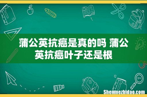 蒲公英抗癌是真的吗 蒲公英抗癌叶子还是根