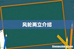 风轮两立介绍