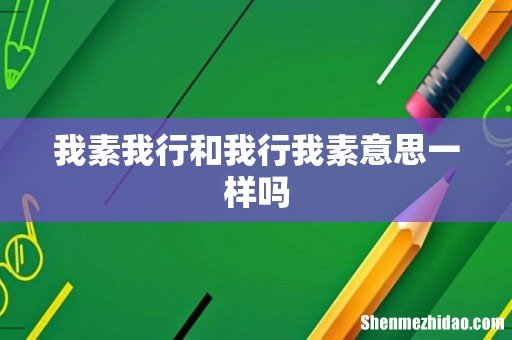 我素我行和我行我素意思一样吗