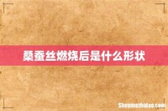 桑蚕丝燃烧后是什么形状