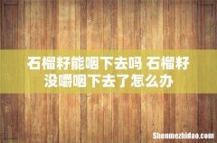 石榴籽能咽下去吗 石榴籽没嚼咽下去了怎么办
