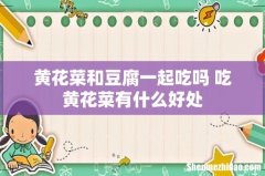 黄花菜和豆腐一起吃吗 吃黄花菜有什么好处