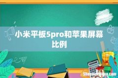 小米平板5pro和苹果屏幕比例