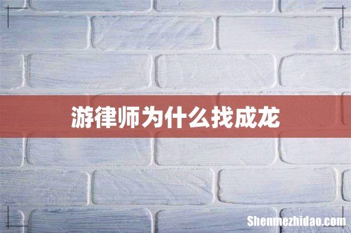游律师为什么找成龙