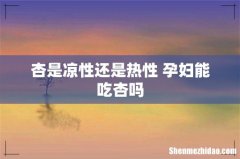 杏是凉性还是热性 孕妇能吃杏吗