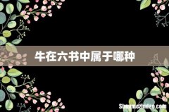 牛在六书中属于哪种