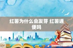 红薯为什么会发芽 红薯通便吗