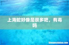 上海蛇好像是很多吧，有毒吗