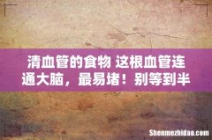 清血管的食物 这根血管连通大脑，最易堵！别等到半身不遂之后才后悔