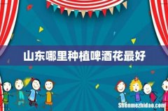 山东哪里种植啤酒花最好