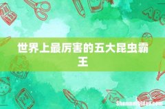世界上最厉害的五大昆虫霸王
