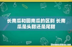 长南瓜和圆南瓜的区别 长南瓜是头甜还是尾甜