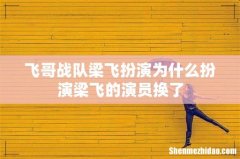 飞哥战队梁飞扮演为什么扮演梁飞的演员换了