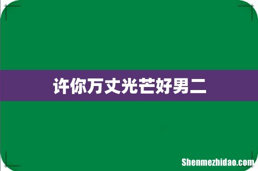 许你万丈光芒好男二