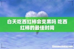 白天吃西红柿会变黑吗 吃西红柿的最佳时间