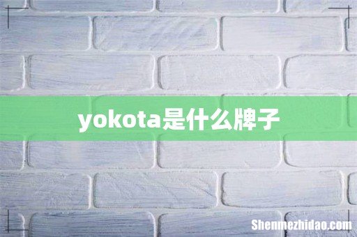 yokota是什么牌子