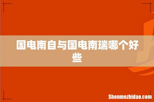 国电南自与国电南瑞哪个好些
