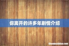 你离开的许多年剧情介绍